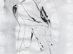 Cristina Llano