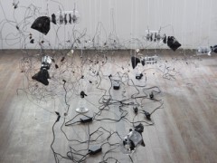 Exhiitions
