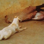Fotología 4