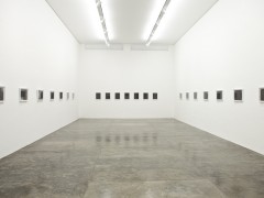 Nara Roesler Gallery