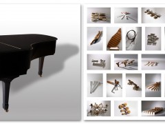 Proyecto "Pianissimo" 2008/2011