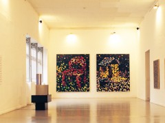 Exposición Tensión Superficial / Museo de arte contemporáneo. 2003