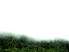 Verde_Vano