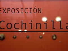 Exhibition "Cochinilla"