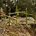 Juan Fernando Herrán