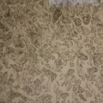 Extracto - Dessins contemporains d’artistes sud-américains
