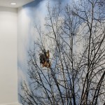 Luiza Baldan - Build Up