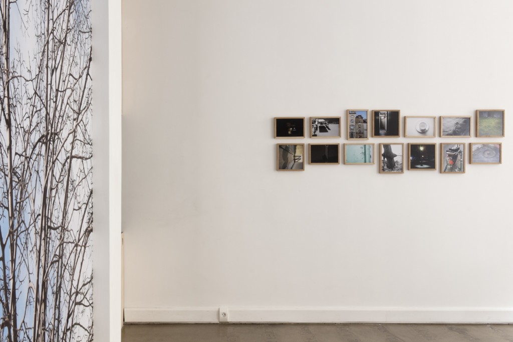 Luiza Baldan - Build Up