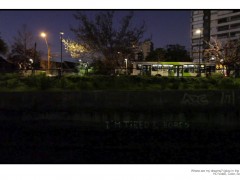 Where are my dreams? (glow in the dark), 2012