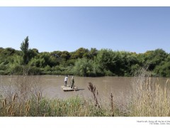 Noah’s raft, (living off) the fat of the land, 2011