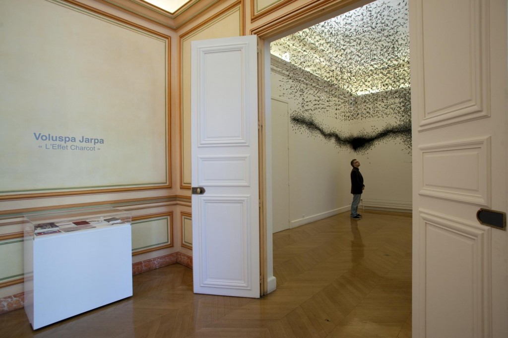 « L’Effet Charcot »