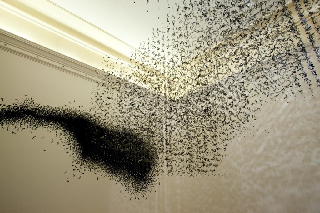 « L’Effet Charcot »