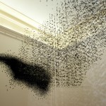 « L’Effet Charcot »