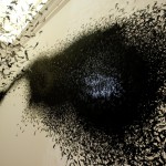« L’Effet Charcot »
