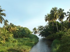 Buritaca - Encuentro de aguas de la Sierra Nevada con el mar Caribe