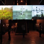 Discontinuous Landscape
