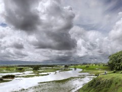 Paisaje tropical en invierno - Desborde del río Cauca