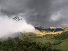 Paisaje andino con niebla - En busca del bosque encantado