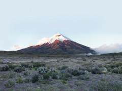 Cotopaxi - Después de Humboldt