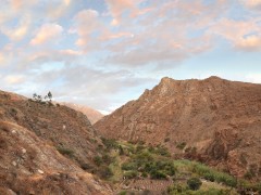 Cultivo - Valle fértil, descenso de Conococha