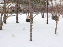 Sculpture Installation at Socrates Sculpture Park