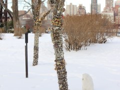 Sculpture Installation at Socrates Sculpture Park