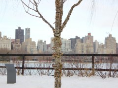 Sculpture Installation at Socrates Sculpture Park