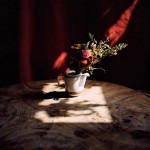 serie Conditions