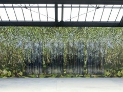 Paradise, 2011