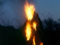 Ana Mendieta