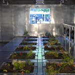 alfredo-jaar-exposicion-slc-2006-artesur