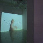 lotty-rosenfeld-mocion-de-orden-artesur