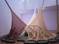 Ernesto Neto