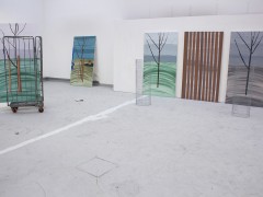 Installation view (2015 Series)