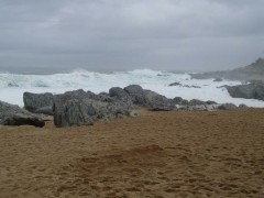 Isla Negra’s Treasure