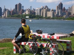 Glamourous Picnic