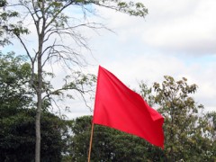 Redflag [territory], 2011