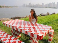 Glamourous Picnic