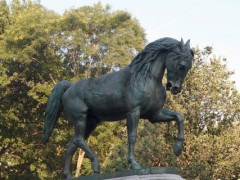 Horse (New York, Union Square), 2011