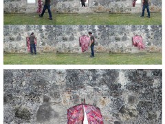 Cortinas en la muralla, 2010