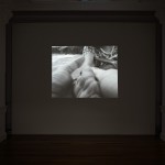 Sicaria, 2012