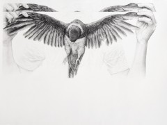 Untitled, (loro).