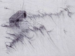 Ink on Silk (2004 - 2006)