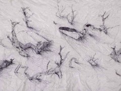 Ink on Silk (2004 - 2006)