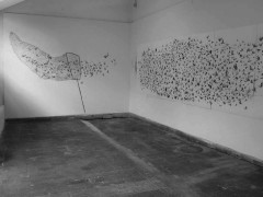 Wall Drawings (2006 - 2009)