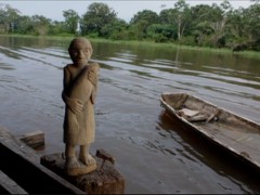 A Tarapoto, un manatí, 2011