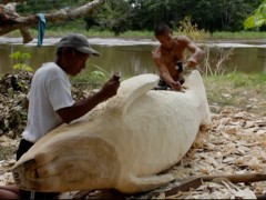 A Tarapoto, un manatí, 2011