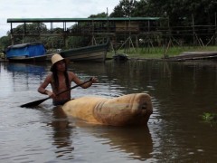 A Tarapoto, un manatí, 2011