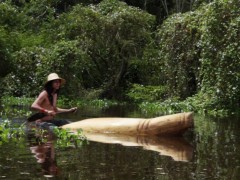 A Tarapoto, un manatí, 2011