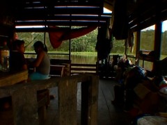 A Tarapoto, un manatí, 2011